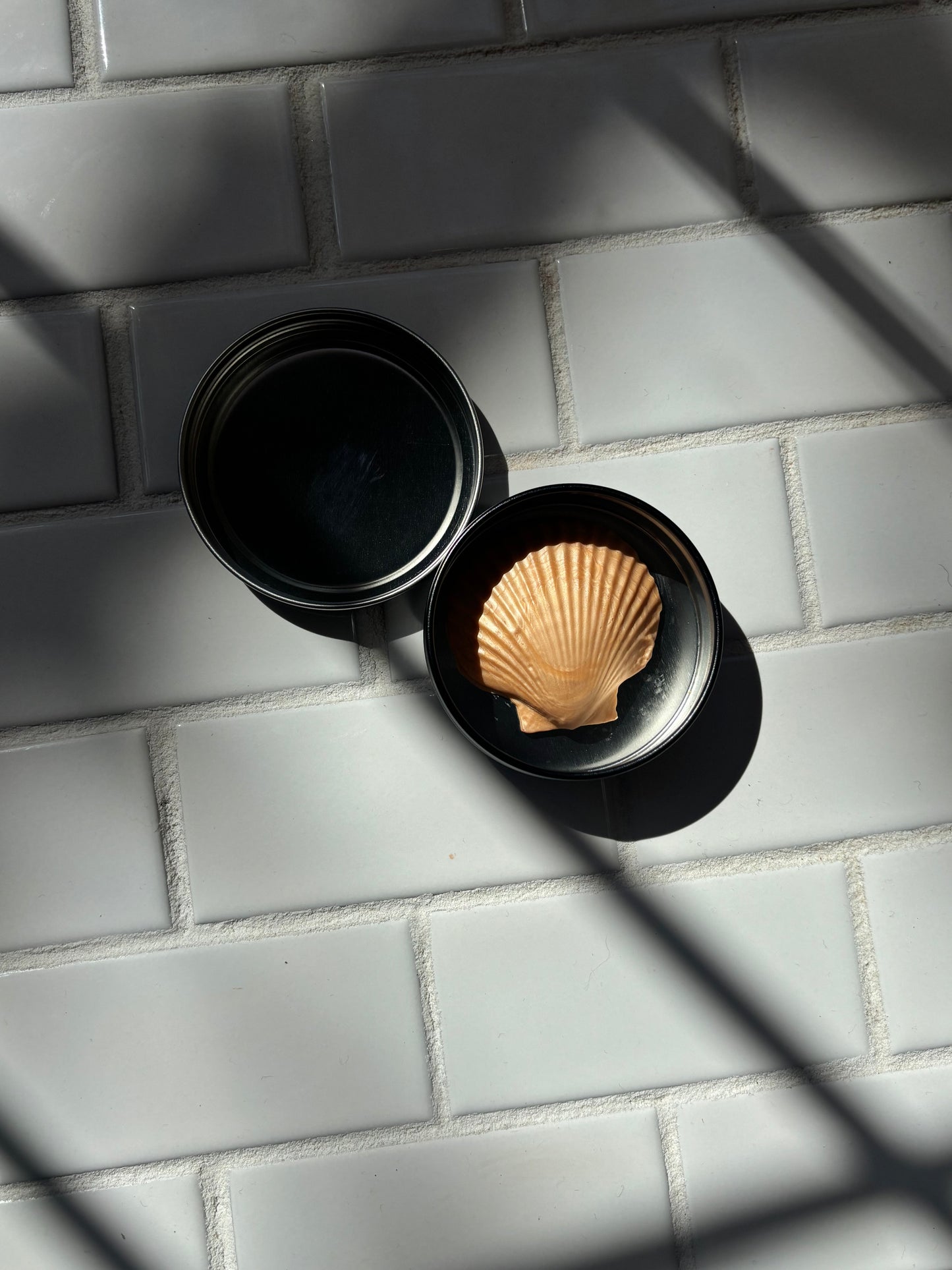 Harlow Skin Co. - Shimmer Shell