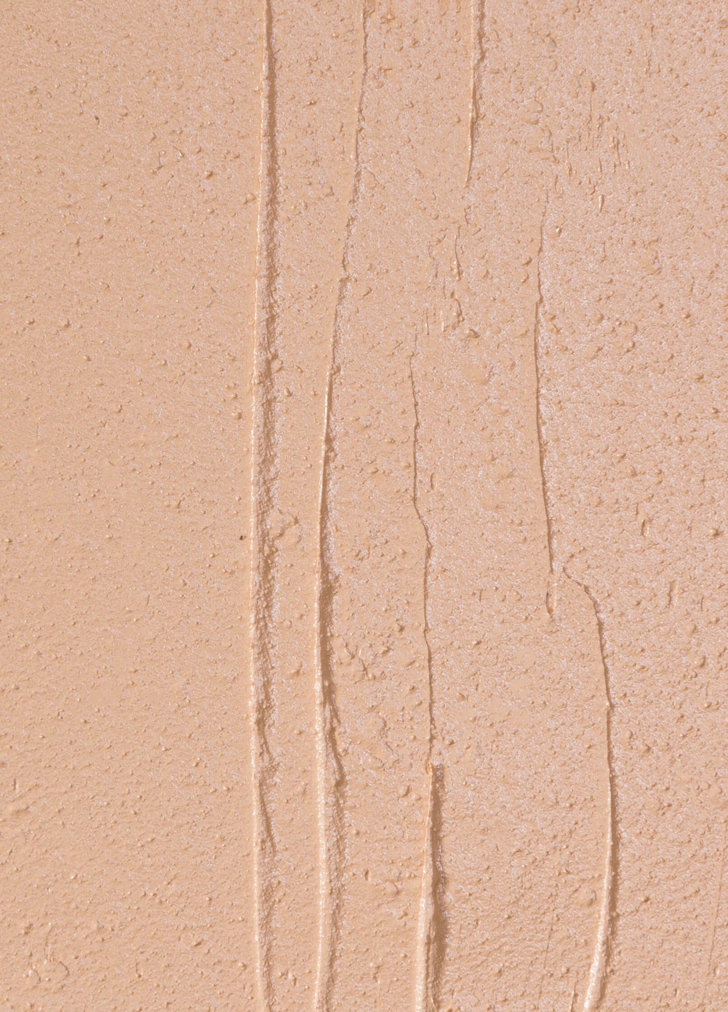 vegan cruelty free full coverage concealer creme concealer. #shade_CN2_|_Light_Neutral