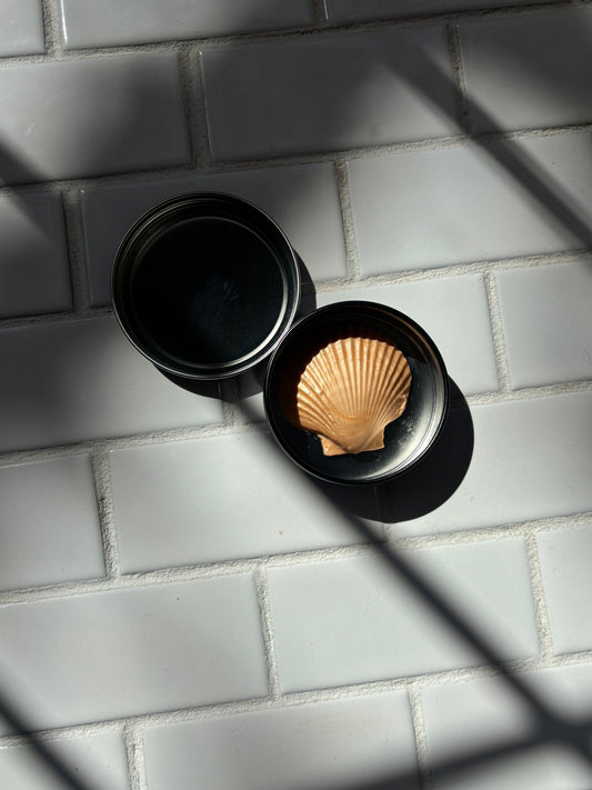 Harlow Skin Co. - Shimmer Shell