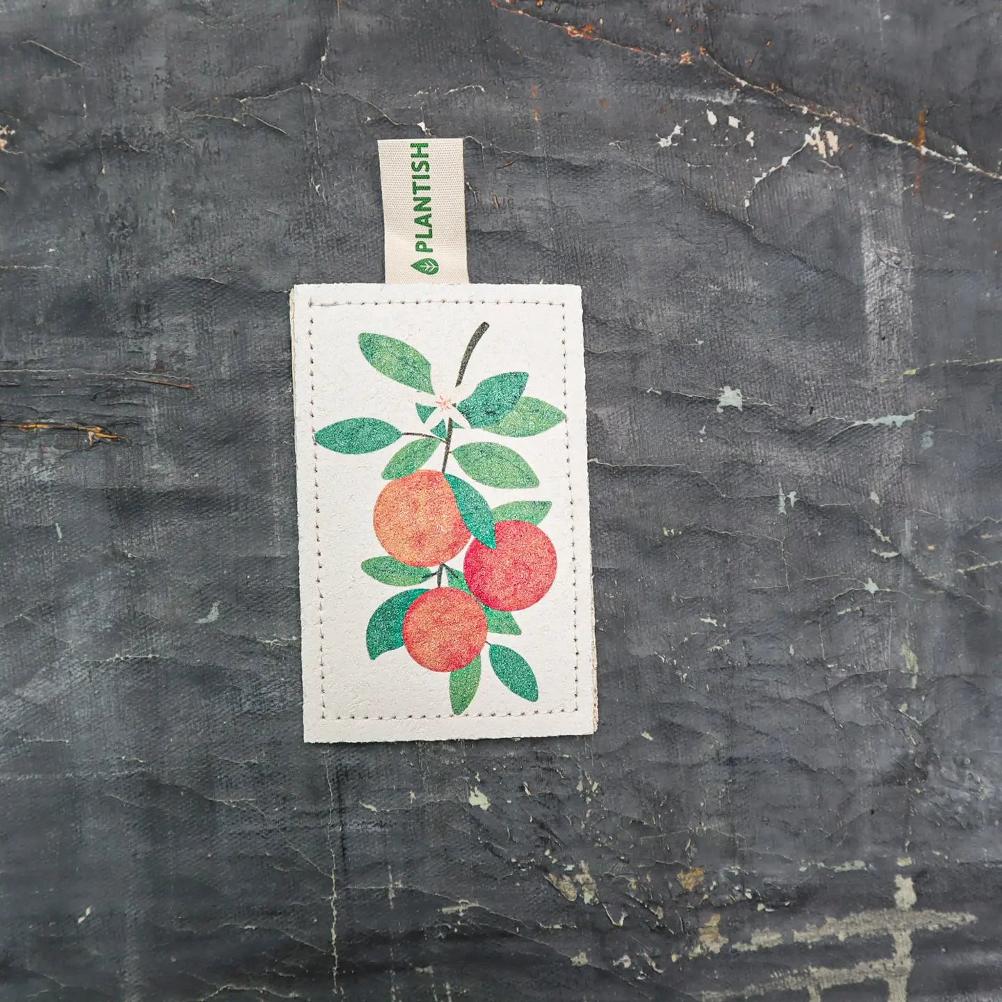 Plantish - Eco Sponge