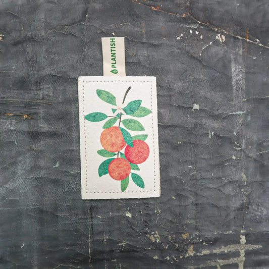 Plantish - Eco Sponge