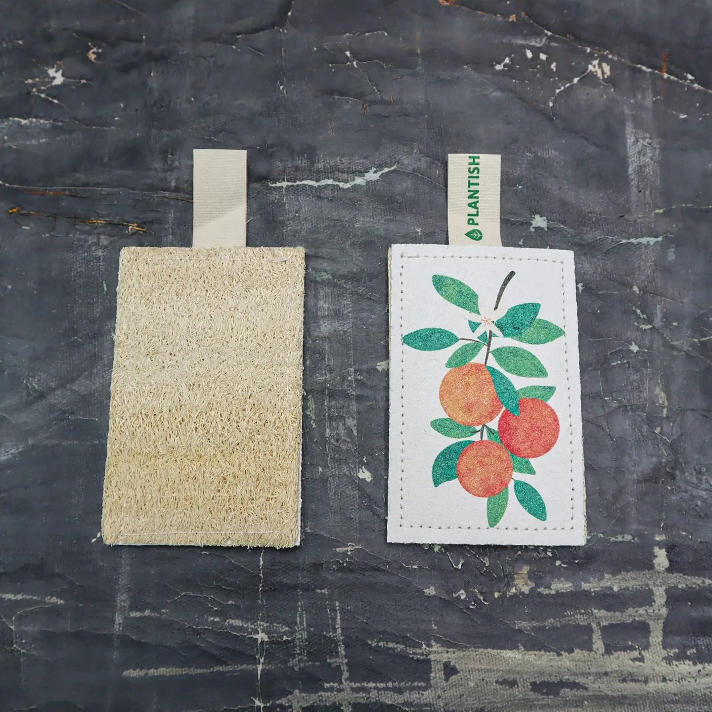 Plantish - Eco Sponge