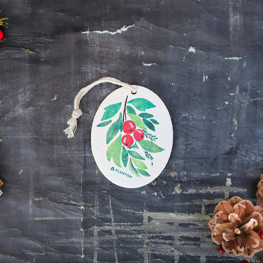 Plantish Pop Up Sponge Ornaments - Holiday Edition