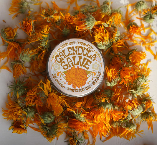 Wonderlust Botanicals - Body Salve