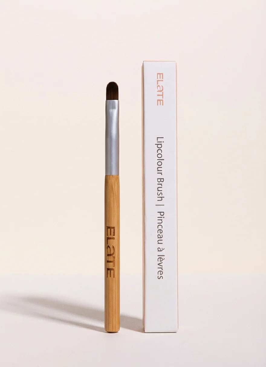 Lipcolour Brush