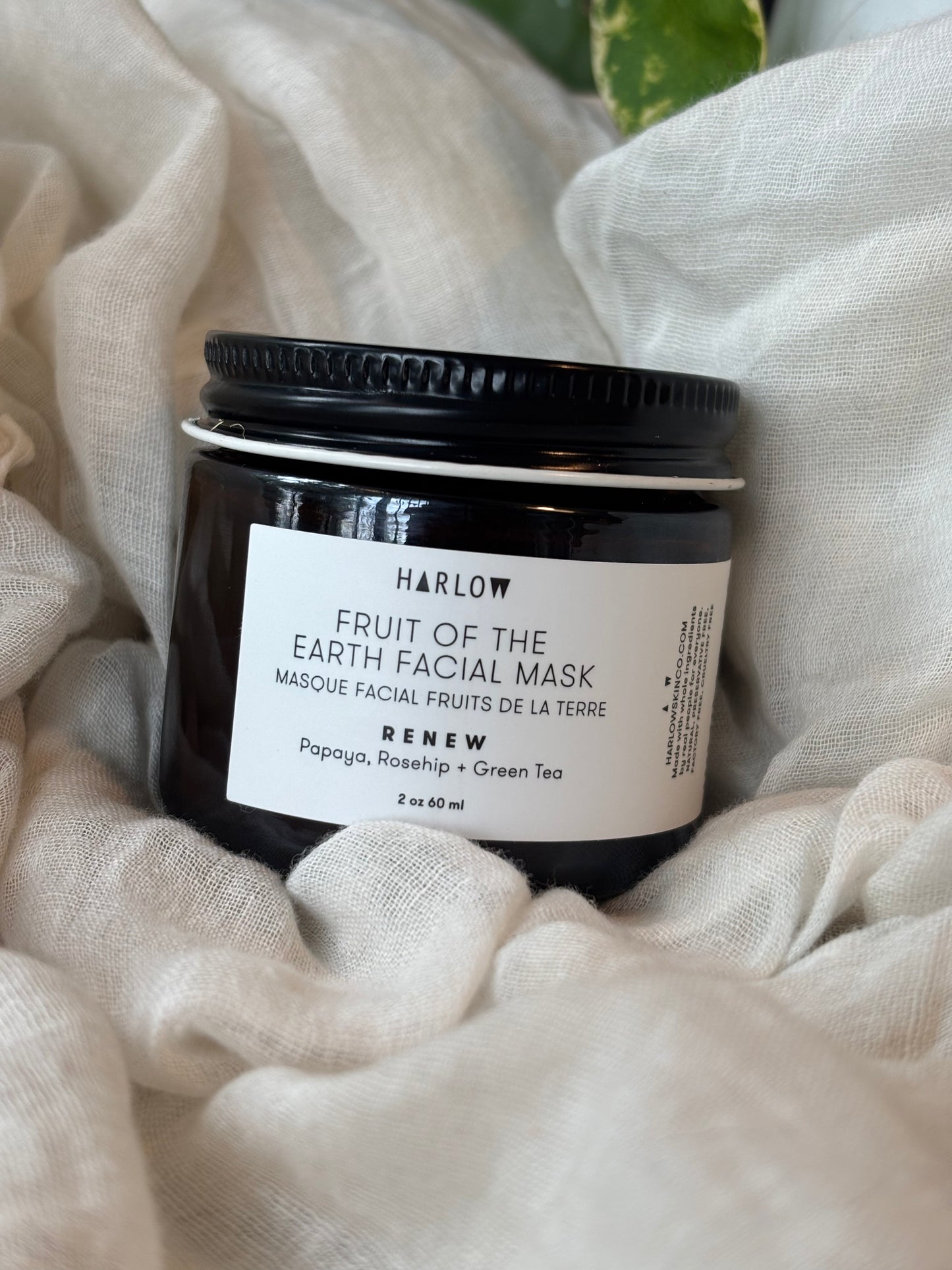 Harlow Skin Co. - Renew Fruit Enzyme Mask